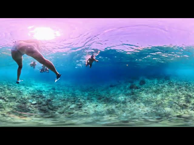 VR360 | The Silent Mediterranean Depths – Immersive Ocean Experience 8K