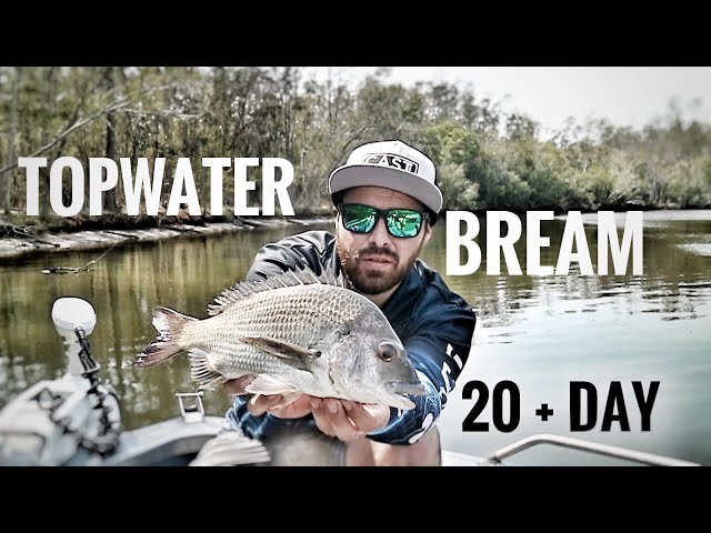 TOPWATER bream all day long