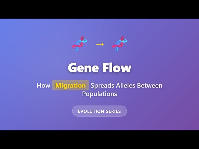 Gene Flow Explained: How Migration Spreads Alleles Between Populations | Evolution Series