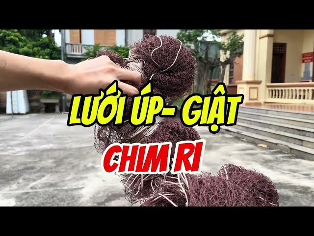 Bird trapping net - 3cm mesh size, earthy brown, size 1.5m x 3m / size 3m x 6m | Custom sizes ava...