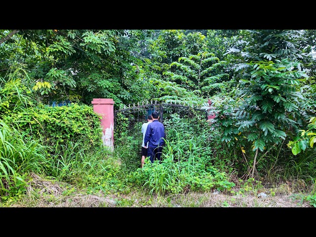 I Spent 90 Days Transforming an Abandoned Farm — Building a Self-Sufficient Life