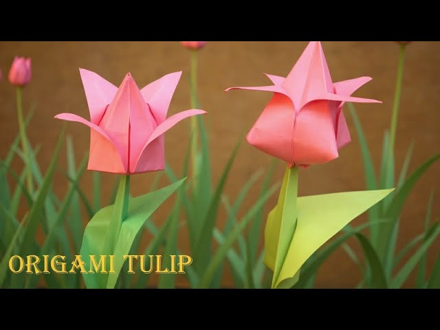 Cara membuat origami bunga tulip 3 dimensi sederhana