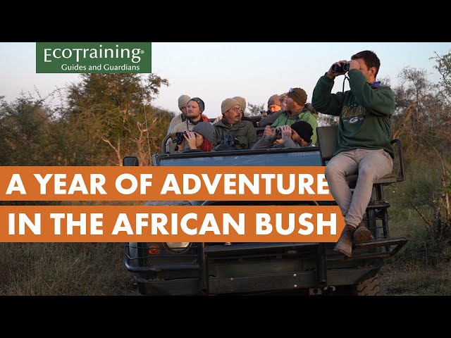 What to expect from the Professional Field Guide course? | Course Spotlight | EcoTraining
