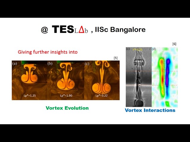What we do at IISc: Vortex Dynamics