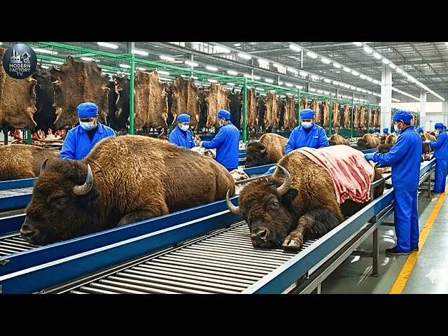 Inside Modern Bison-Leather Factory: From Raw Bison Hide to Premium Fashion Goods (Full Process)