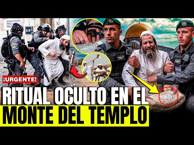The PLAN to TAKE THE TEMPLE MOUNT in JERUSALEM...