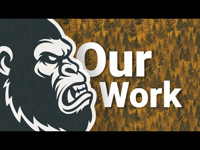 Bigfoot.media | Audiovisual Solutions | Our Work