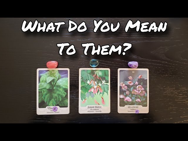 😵💕 WHAT Do YOU Mean To THEM? 😱💗 Pick A Card Love Reading 