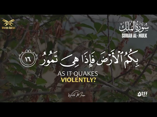 Surah Al-Mulk | Peaceful Quran Recitation for Night Protection, Mercy and Deep Inner Calm