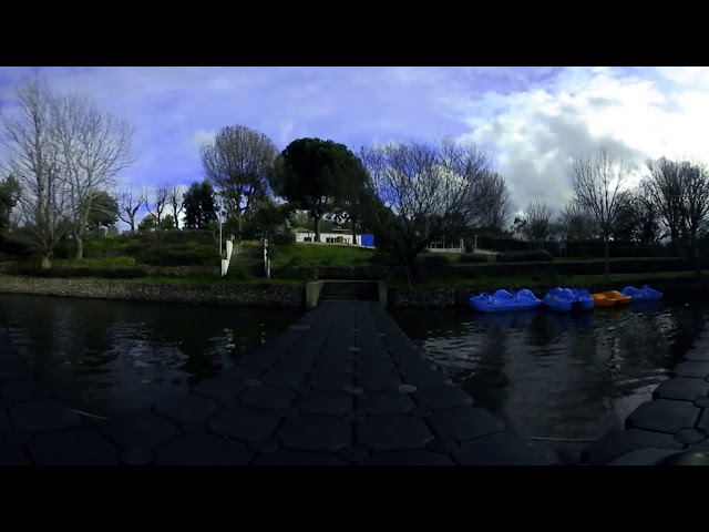 Dock test loop