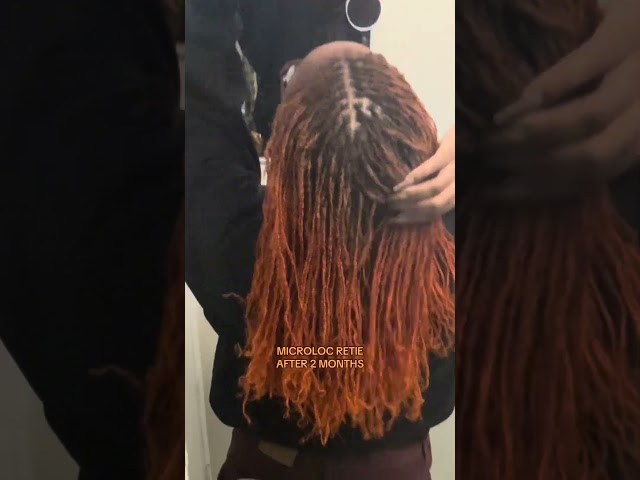 Microloc retie after 2 months! Watch the growth 👀✨ #Microlocs #Retie #NaturalHair #LocJourney #locs