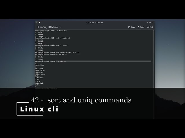 Linux CLI 42 🐧 sort and uniq commands