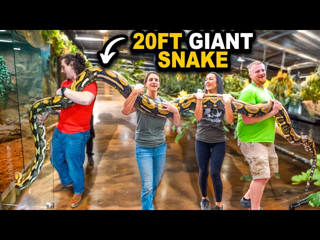 World's Largest Snake Gets Giant Home Upgrade!