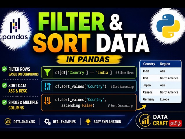 How to Filter & Sort Data in Pandas | sort_values() & Boolean Indexing | Python Tamil