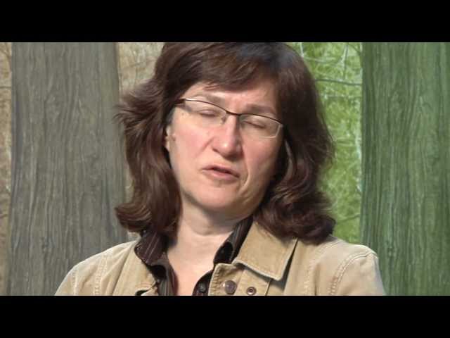 Soil for Youth Introduction