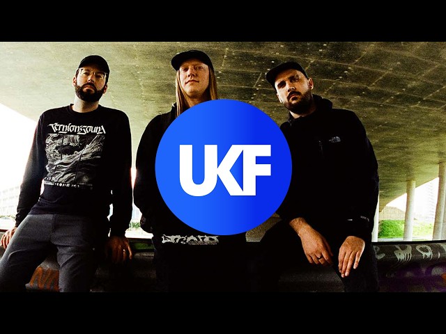 The Widdler - Echo Chamber (Ternion Sound Remix)