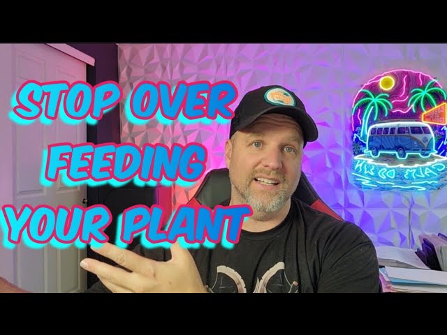 How Many PPMs Should you Feed Your Plants
