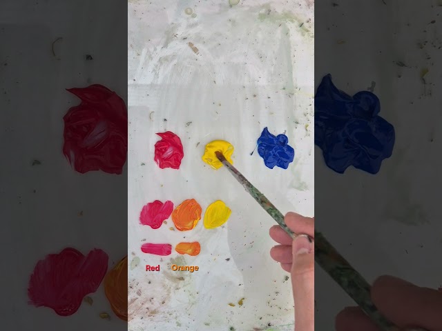 Colourmixing video making Rainbow 🌈 🏳️‍🌈 from just Primary Colors #colormixing #rainbow #shorts