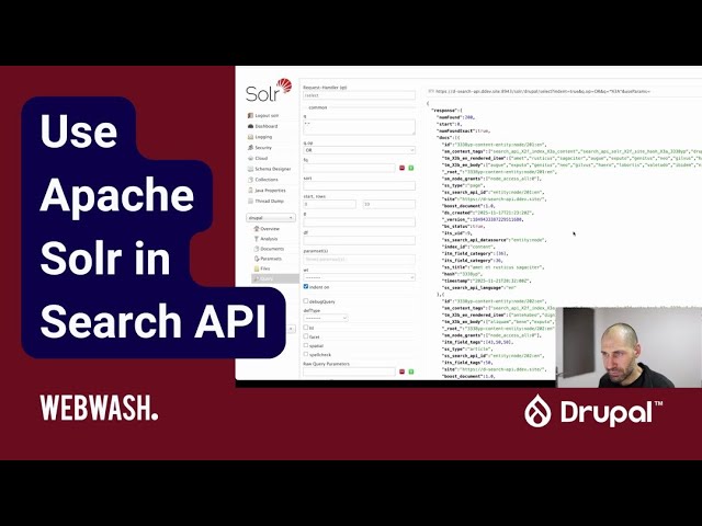 Use Apache Solr in Search API