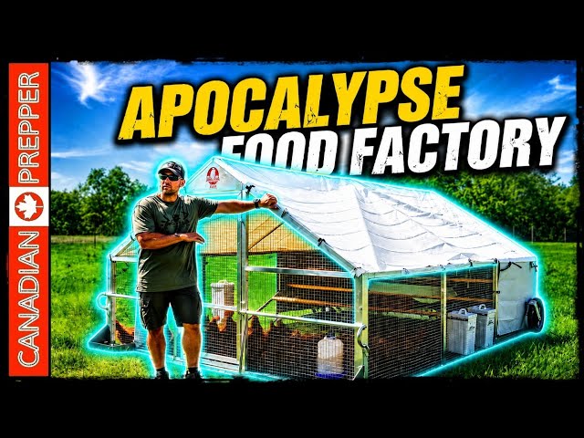 The Ultimate SHTF Food Machine: Infinite Protein w/ Alumicoop