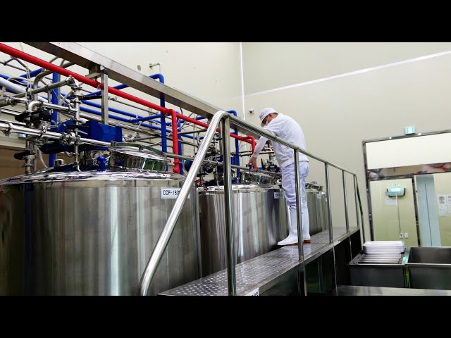 Yogurt Factory Production Process