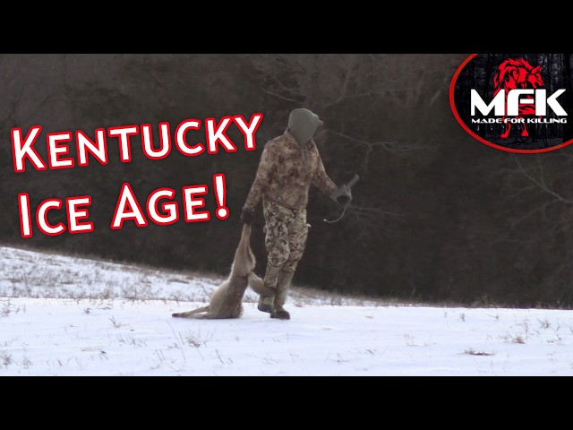 Coyotes In A Kentucky Ice Storm!!