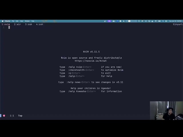 programming everyday until I graduate college | day 374