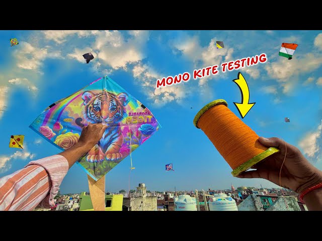 Tiger ADORABLE kite Fighting & Mono kite testing | kite cutting tricks | kite