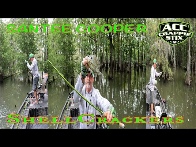 ShellCracker RedEar Fishing In The Summer Months