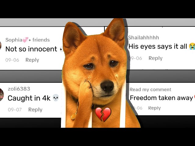 From Couch to Cell 💔 - Chat Music 
