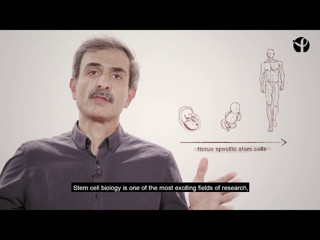 Institut Pasteur MOOC - Advances in Stem Cell Biology