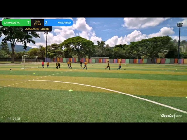 AZABACHE SUB8