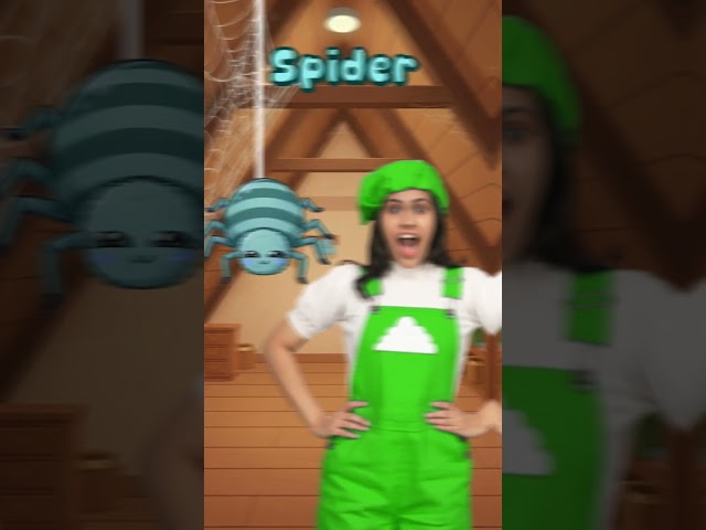 Kids Learn Insects With Ms Donna 🪳🕷️