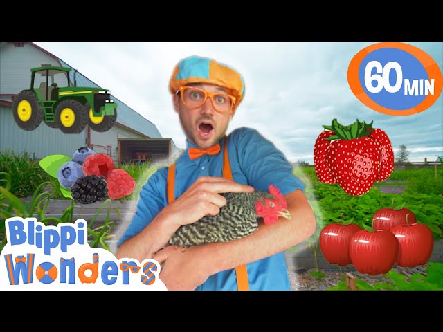 Blippi Visits a Farm! | Blippi & Blippi Wonders Educational Videos for Kids