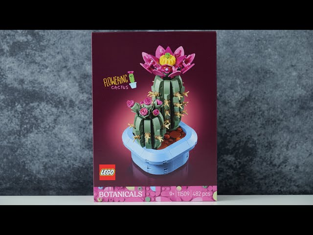 LEGO Botanicals 11509 Flowering Cactus - LEGO Speed Build Review