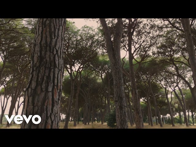 Ludovico Einaudi - Sequence