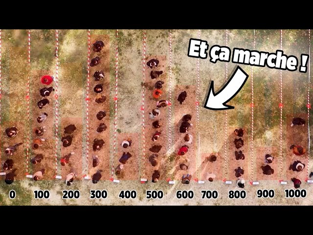 100 people test a method of collective intelligence