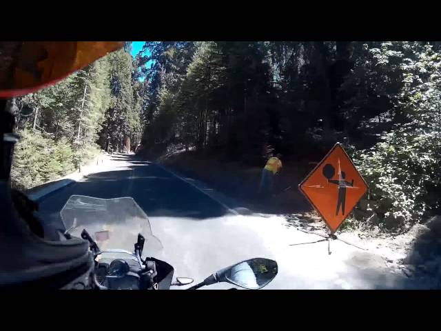 Sequoia National Forest Pt III