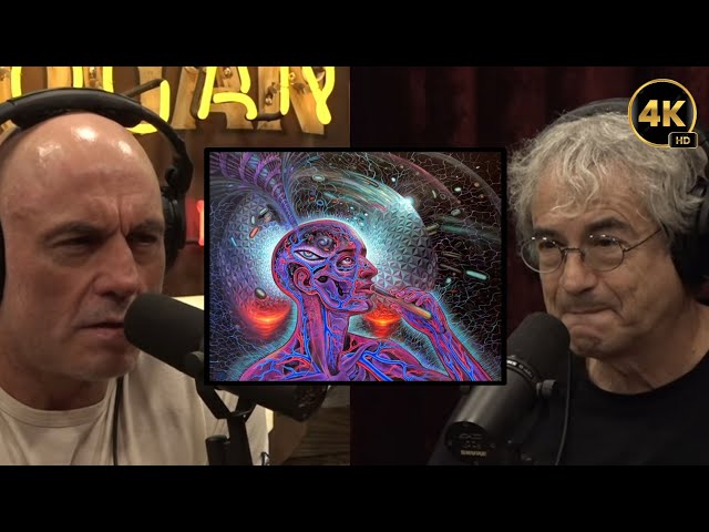 Quantum Physicist Warns Joe That the Soul and the Body Are the Same Thing 