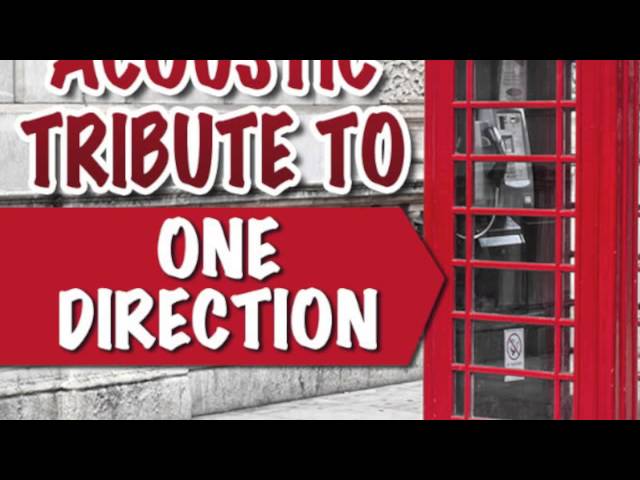 Stand Up - One Direction Acoustic Tribute