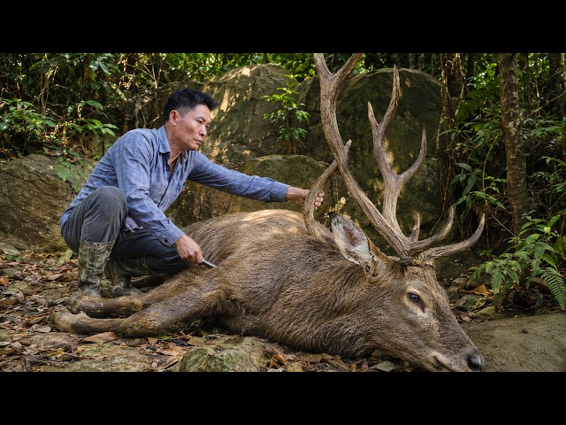 Survival Alone: Tracking Wild Goats and Catching Them with Simple Traps