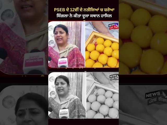 PSEB ਦੇ 12ਵੀਂ ਦੇ ਨਤੀਜਿਆਂ ਚ ਸ਼ਰੇਆ ਸਿੰਗਲਾ ਨੇ ਕੀਤਾ ਦੂਜਾ ਸਥਾਨ ਹਾਸਿਲ  | #shorts | News18Punjab