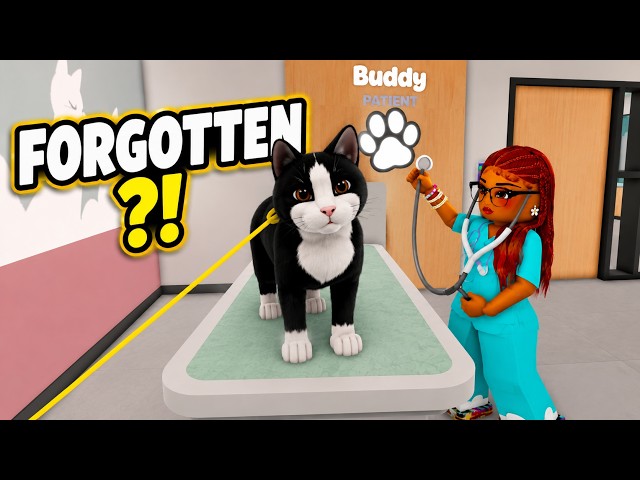4 Maple Hospital Updates Everyone Forgot About