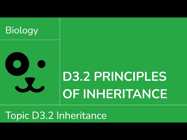 D3.2 Principles of Inheritance [IB Biology SL/HL]