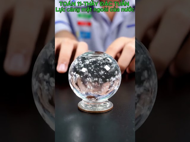 Simulating the surface tension of water (Mathematics Grade 11 - Experiential Activity)