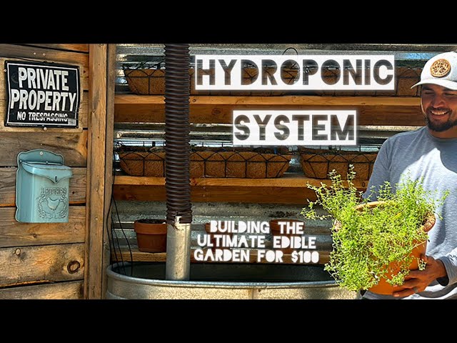DIY Hydroponic System: The Ultimate Low Cost Edible Garden Build