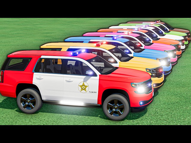 tiny vs GIANT! ALL COLORFUL POLICE CARS! Big Mercedes Trucks Transport & Mega Colorful Ramp