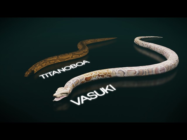 Titanoboa Was Never The Biggest Snake.. This Was