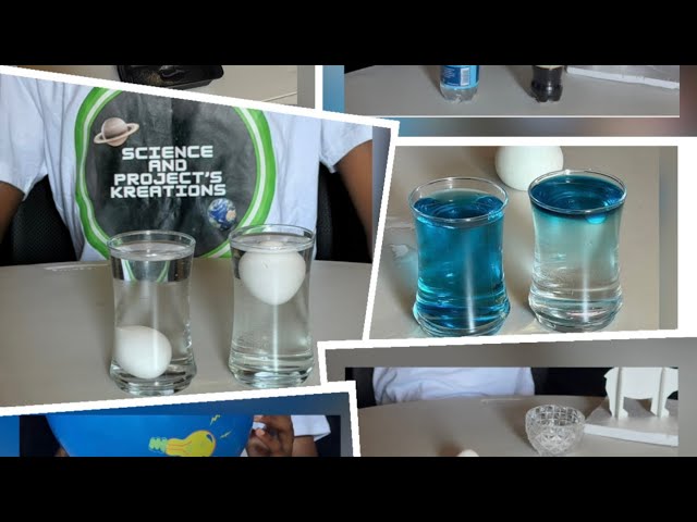 6 AMAZING SCIENCE EXPERIMENTS WITH SALT🧂🧪| Fun And Easy Stem Experiments 