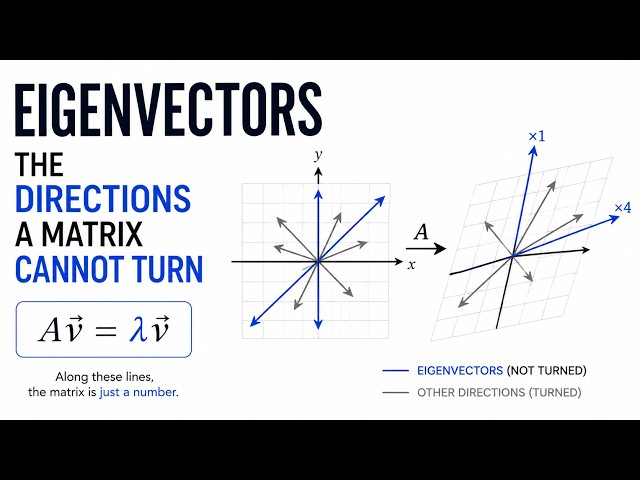 What Is an Eigenvector ?  The Direction That Doesn’t Turn